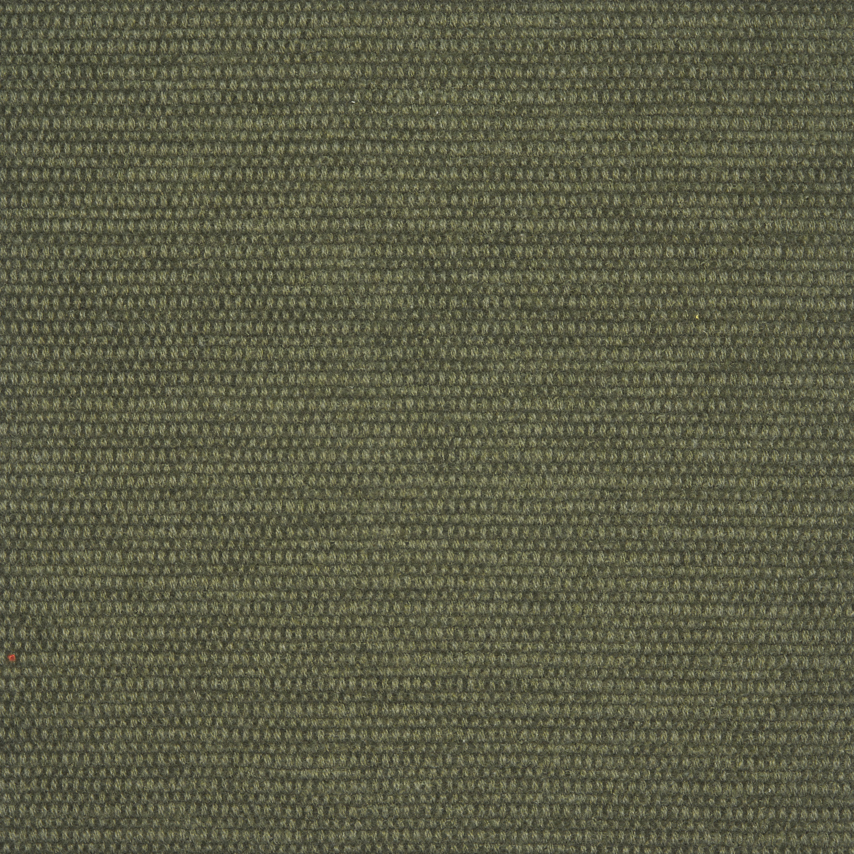 Cancun-plain-06-muschio