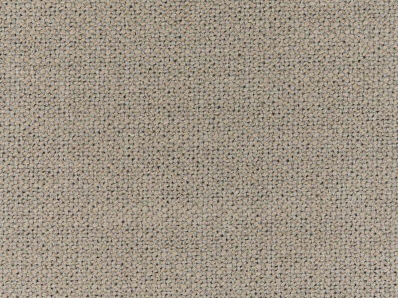 Diva-dis1-203-nebbia