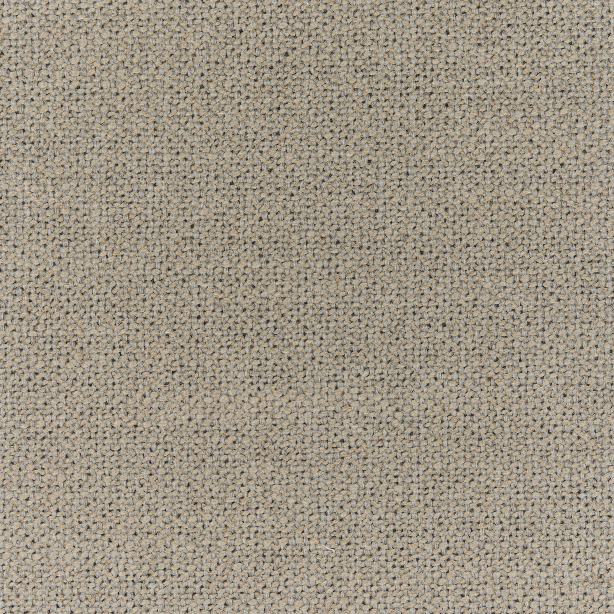 Diva-dis1-203-nebbia