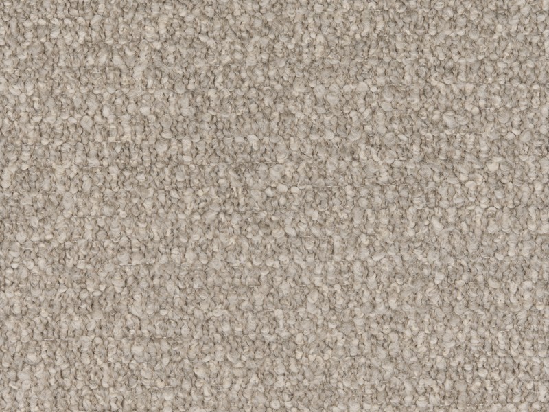 Diva-dis21-208-tortora