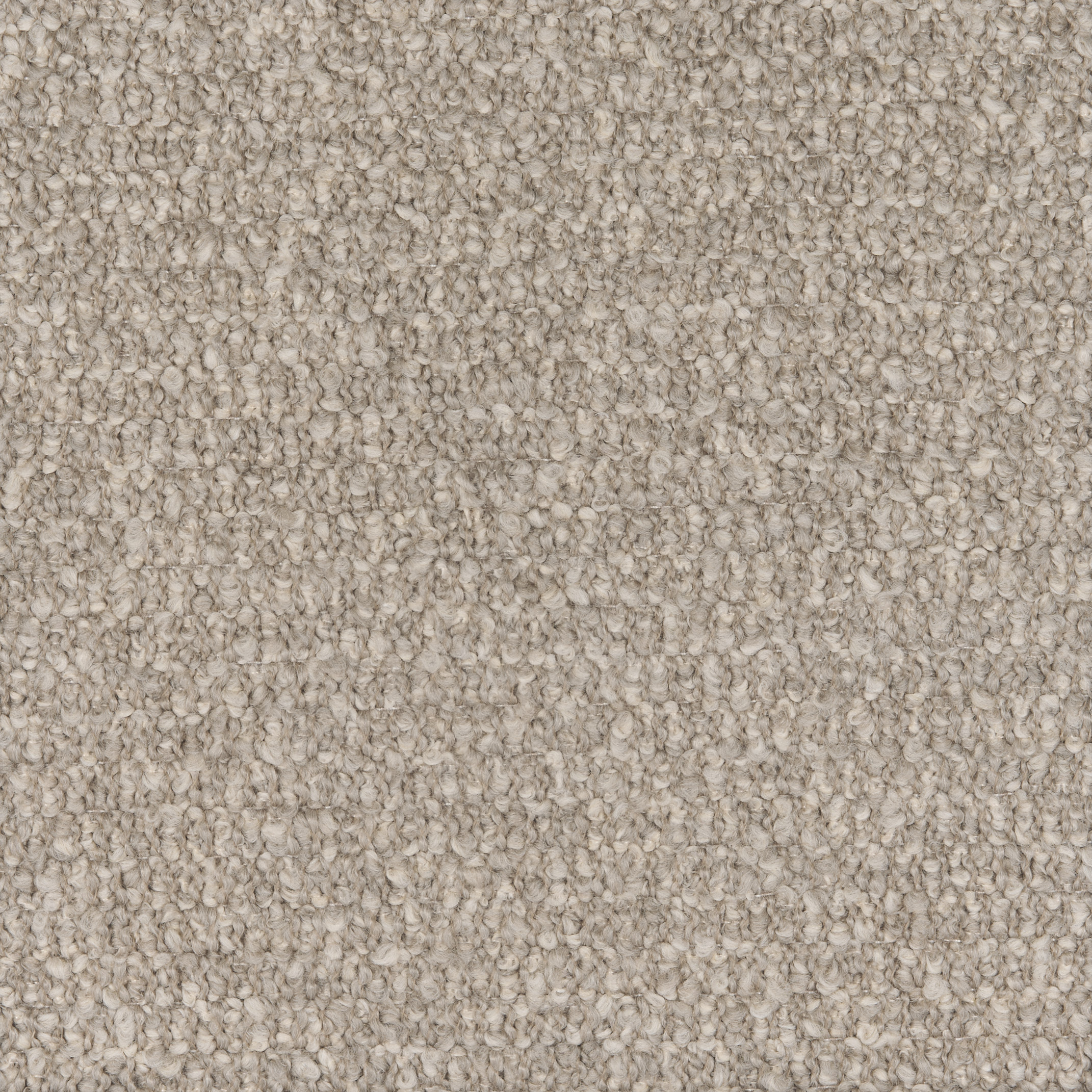 Diva-dis21-208-tortora