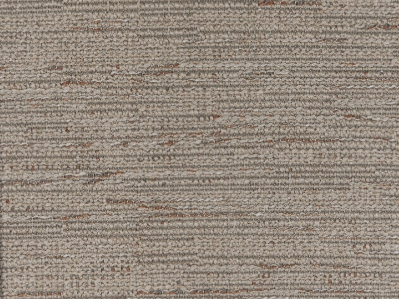 Diva-dis5-208-tortora