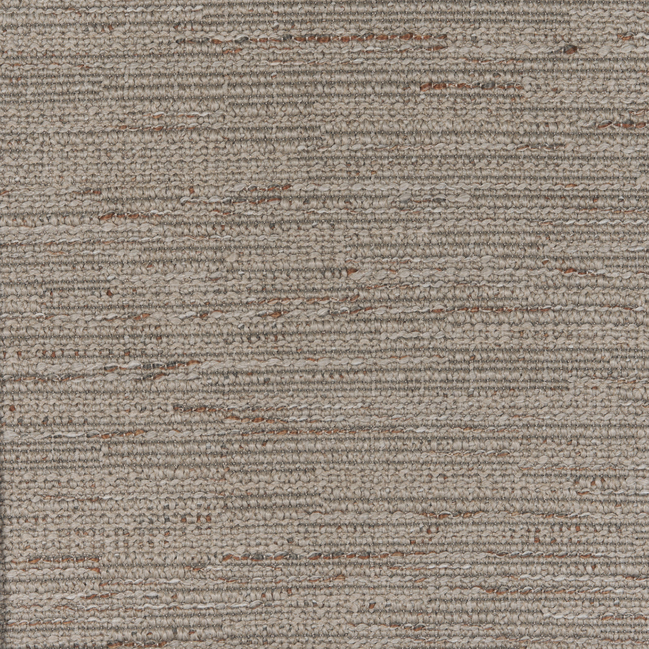 Diva-dis5-208-tortora