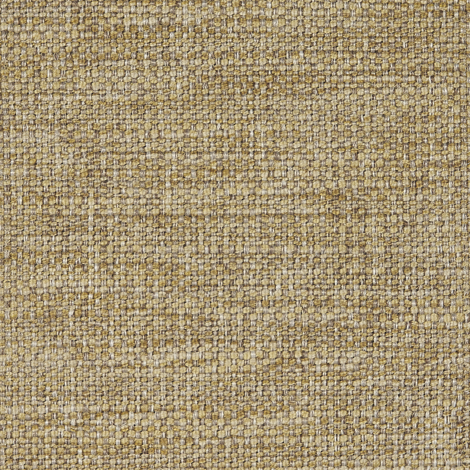 Tito-012-bronzo