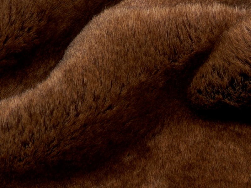argan-ant