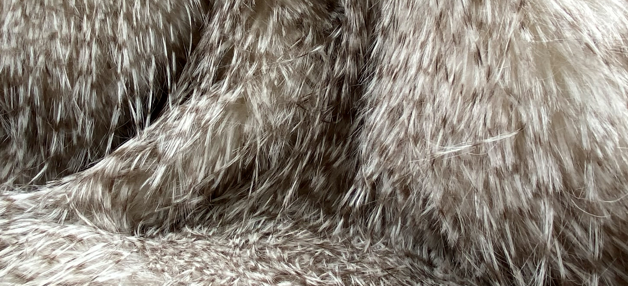 &nbsp;
